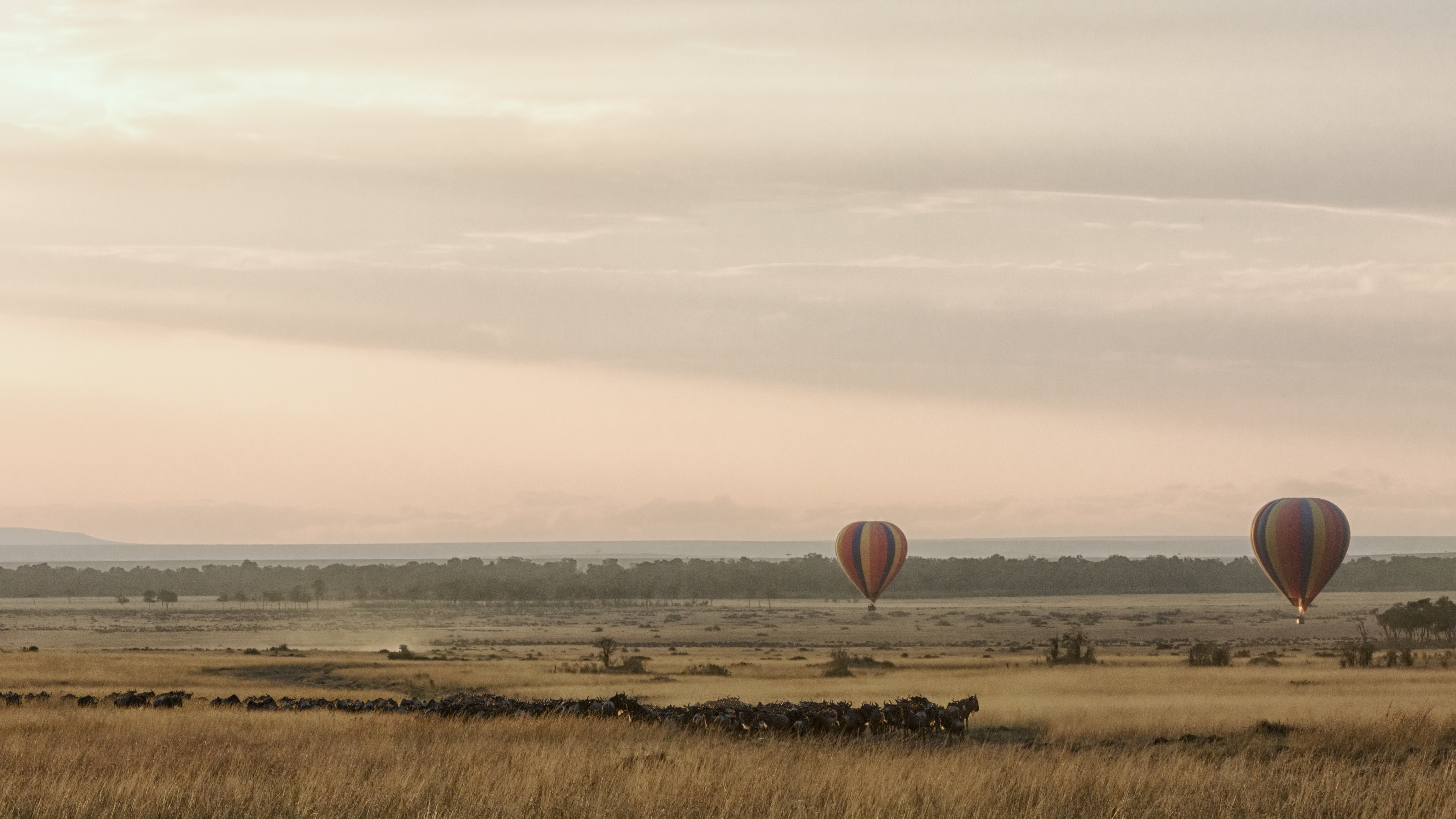 Bush breakfast on the Serengeti plains after a hot air balloon landing with champagne
