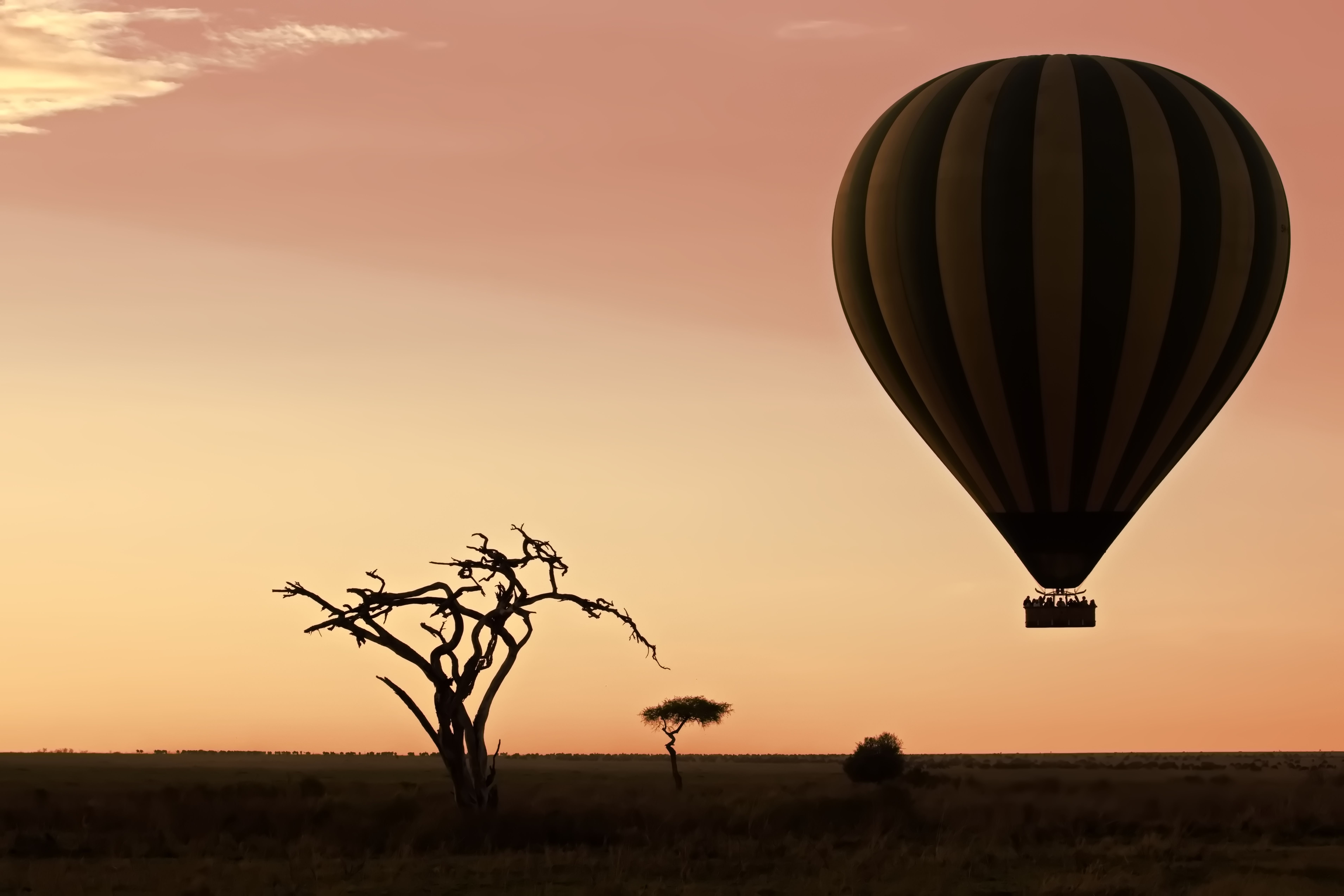 Overhead view from a balloon basket showing the Serengeti landscape and wildlife below
