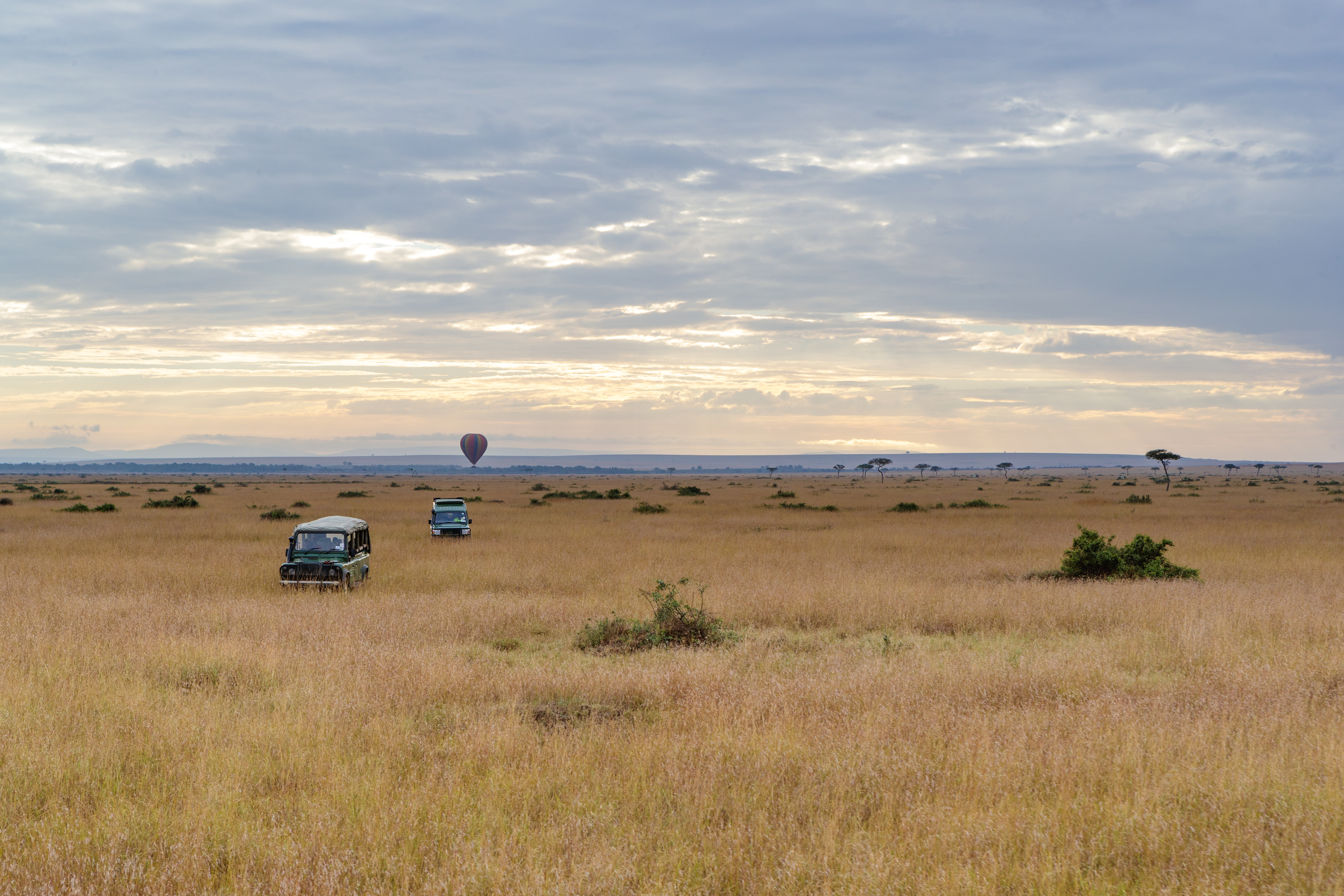 Hot Air Balloon Safaris: An Unforgettable Perspective of the Serengeti