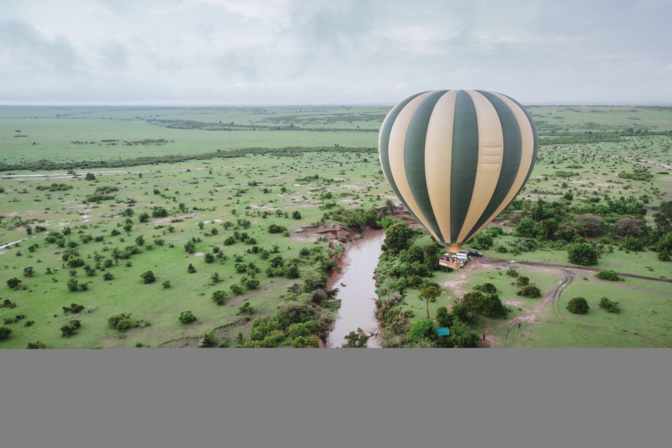 Hot air balloon at sunrise over the Serengeti with wildebeest below