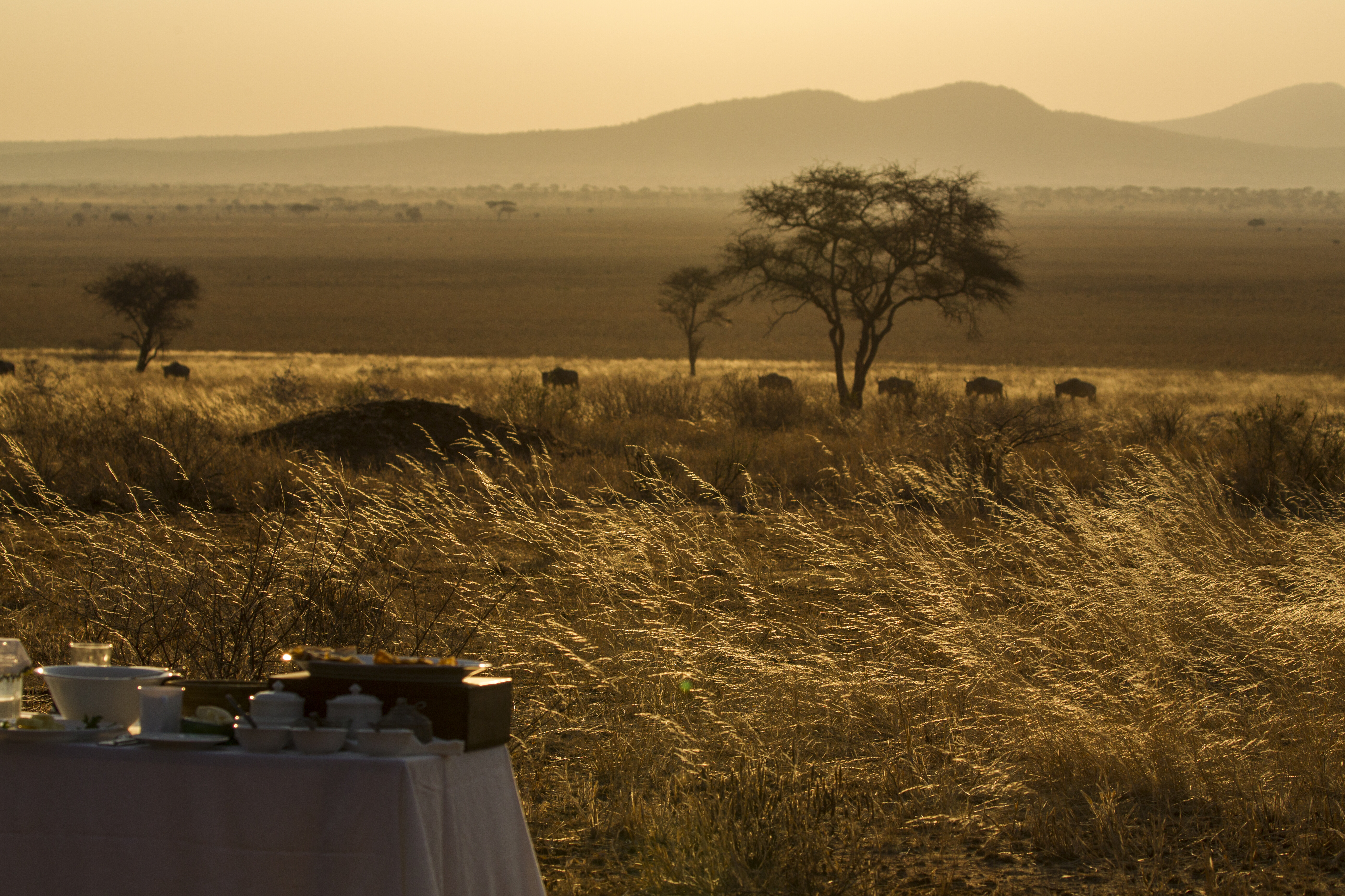 Client and specialist reviewing a detailed Tanzania safari proposal with camp references, guide names and transparent cost breakdown — how to identify the best safari operator in Tanzania