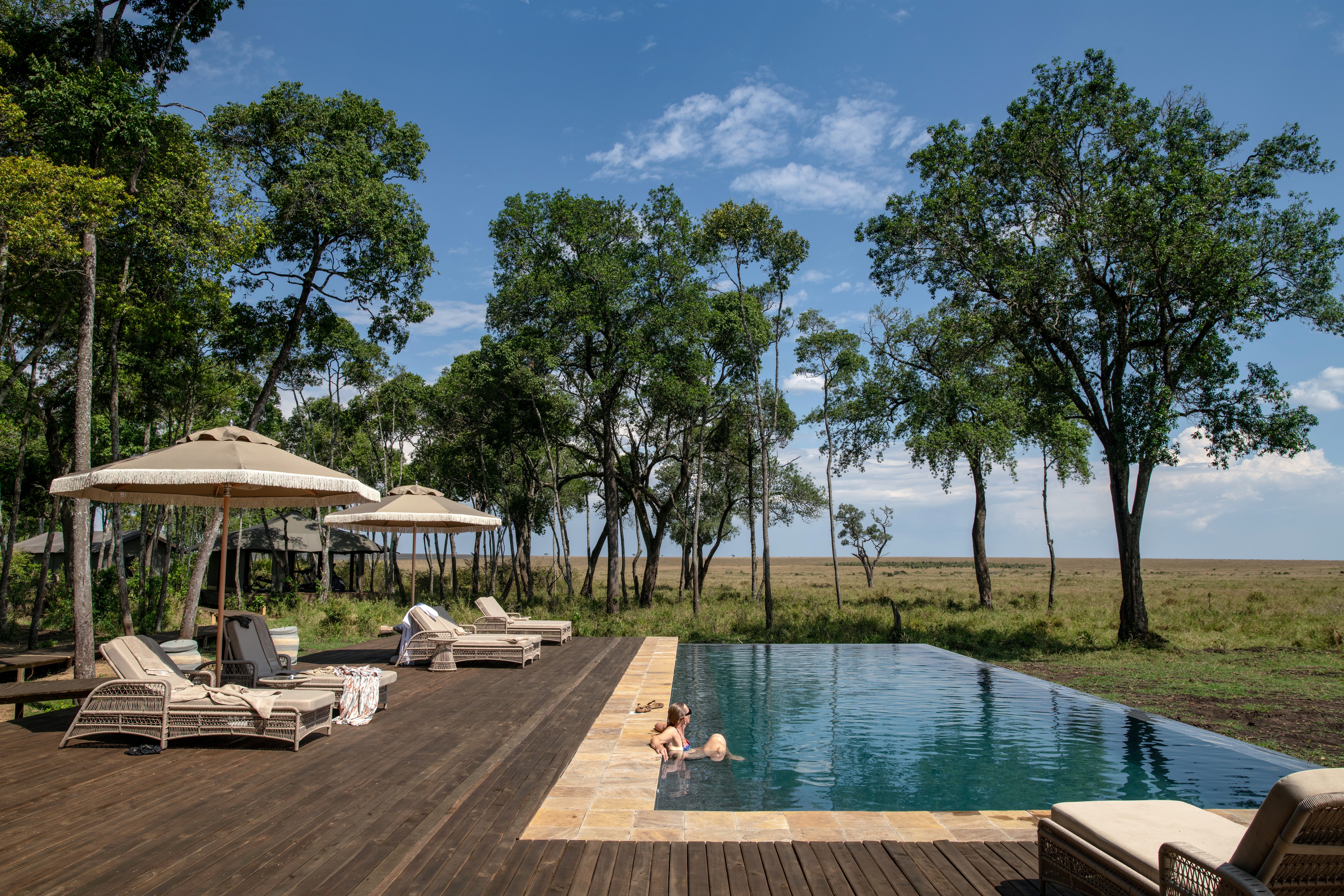 How to Plan a Safari in Tanzania in 2026: The Ultimate Luxury Guide | Sokwe Africa Safaris