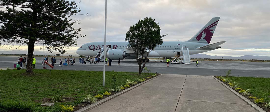 Tanzania Safari from USA: Complete Travel Guide for American Travellers | Sokwe Africa Safaris