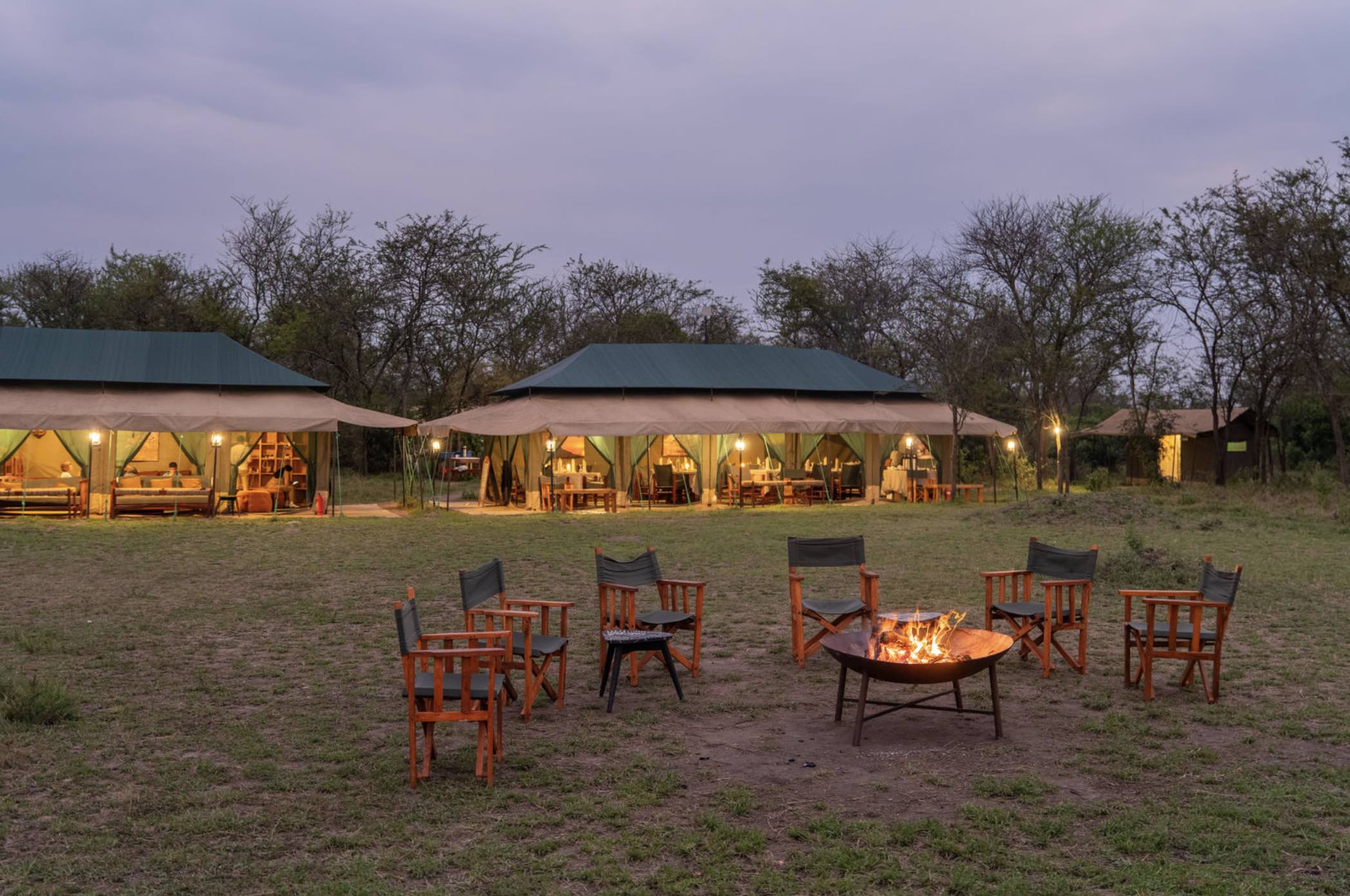 Mobile tented camp in Tanzania's Serengeti positioned in the northern migration zone with wildebeest visible on the plains beyond the camp perimeter