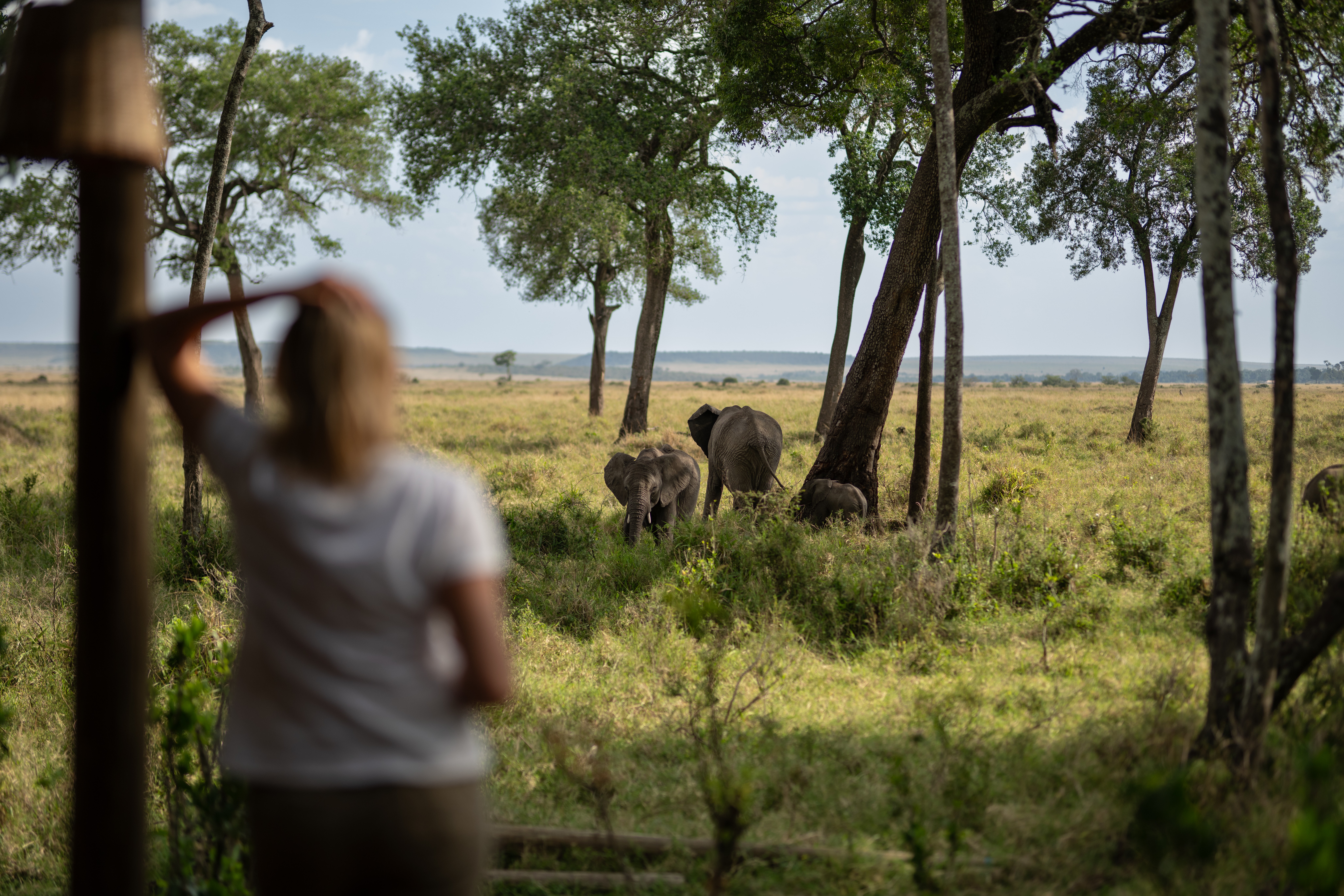 Private luxury tented camp in Ruaha National Park, Tanzania's largest and most remote safari destination