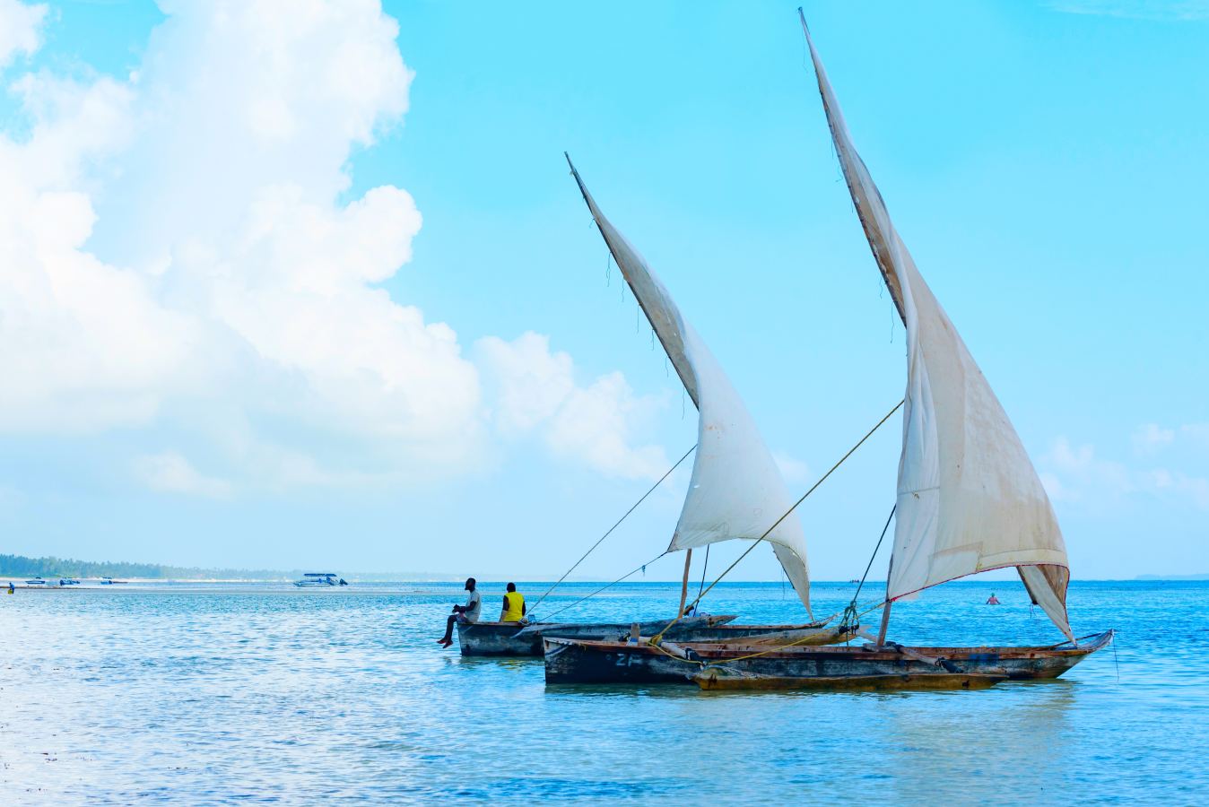 Zanzibar and Safari Combination: The Perfect Tanzania Journey | Sokwe Africa Safaris