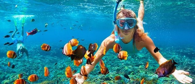 Snorkeller above a coral reef at Zanzibar's Mnemba Atoll with sea turtles visible below — the underwater dimension of the Tanzania safari and Zanzibar experience