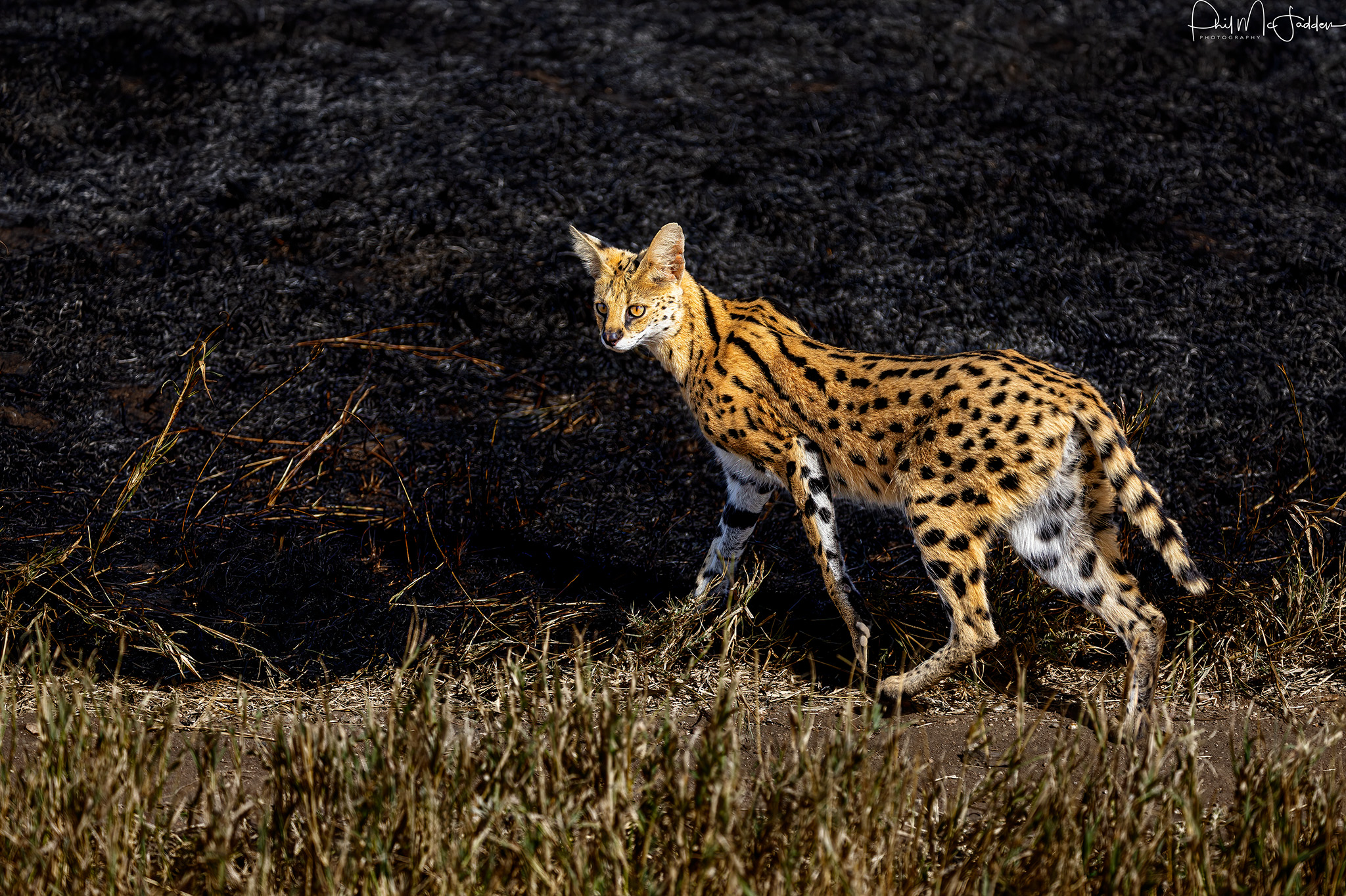 When is the Best Time to Visit Kenya?